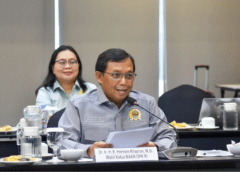 Wakil Ketua BAKN DPR RI Menilai Enam Provinsi di Tanah Papua Lemah Tata Kelola Keuangan, Ada 20 Ribu Temuan