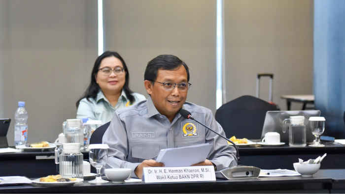 Wakil Ketua BAKN DPR RI Menilai Enam Provinsi di Tanah Papua Lemah Tata Kelola Keuangan, Ada 20 Ribu Temuan