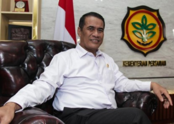 Papua Siap Mandiri Pangan 2027, Tidak Lagi Tergantung Pasokan dari Makassar dan Jawa