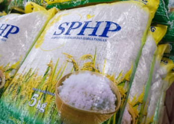 Menjaga Stabilitas Jelang Nataru, Bulog Salurkan 4.634 Ton Beras SPHP ke 42 Kabupaten di Tanah Papua