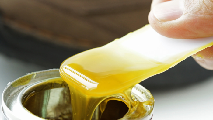 Kebijakan Positif, Pemprov Papua Selatan Fokus Penanganan Anak Aibon, Kerjasama UI