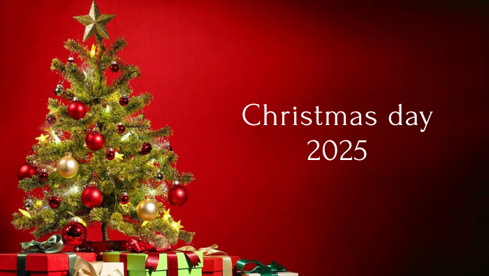 Tinggal Hitungan Hari, Suasana Kota Timika Belum Berubah, Minim Dekorasi dan Ornamen Natal