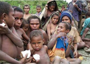 Mengapa Stunting Masih Tinggi di Papua? Mengungkap Faktor Penentu dan Arah Kebijakan yang Tepat