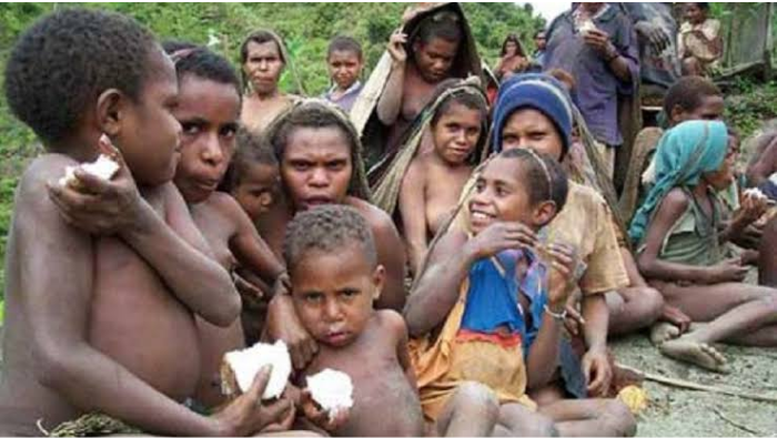 Mengapa Stunting Masih Tinggi di Papua? Mengungkap Faktor Penentu dan Arah Kebijakan yang Tepat