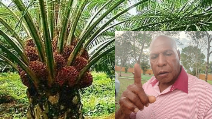 Air Mata Sumatra Jangan Terjadi di Papua, Lemasko Lantang Bersuara Tolak Ekspansi Sawit Berskala Besar