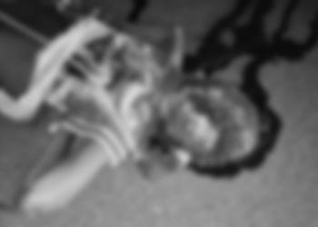 WVI Bekerjasama Freeport dan Dinkes Mimika Gelar Diseminasi Hasil Penilaian Strata Kader Kesehatan, 27 Kader Dinyatakan Lulus