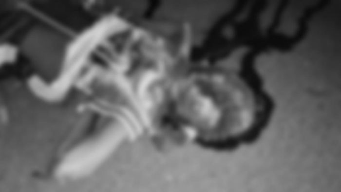 WVI Bekerjasama Freeport dan Dinkes Mimika Gelar Diseminasi Hasil Penilaian Strata Kader Kesehatan, 27 Kader Dinyatakan Lulus