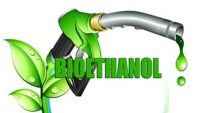 Papua Basis Utama Pengembangan Bioetanol untuk Bahan Baku Bensin