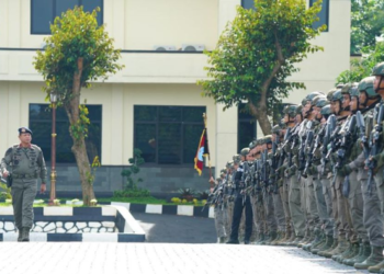 Setahun Berdinas di Papua, 446 Personel ODC Kembali ke Mako Brimob Kelapa Dua