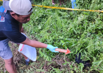 Isu Suanggi Berujung Maut, Petani di Sarmi Tewas Dianiaya Warga