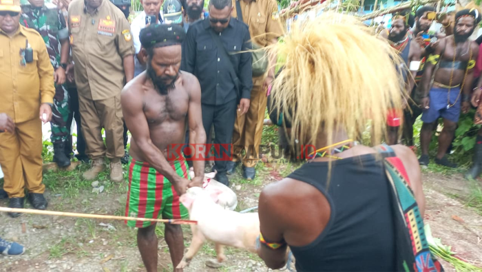 Konflik Berdarah di Kwamki Narama Timika Resmi Berakhir, Kubu Dang & Newegalen Jalani Prosesi Patah Panah
