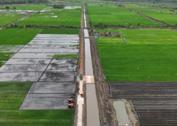 Perkuat Ketahanan Pangan Nasional, Kementan Perluas Cetak Sawah di Papua Hingga 10 Ribu Hektar