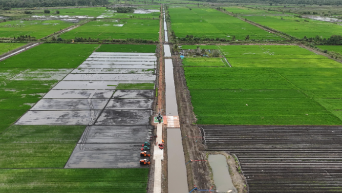 Perkuat Ketahanan Pangan Nasional, Kementan Perluas Cetak Sawah di Papua Hingga 10 Ribu Hektar