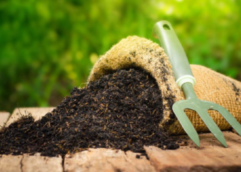 Pembangunan KIP di Fakfak Solusi Menekan Biaya Distribusi Pupuk ke Papua