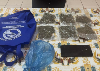 Bawa 30 Gram Ganja, Pria 24 Tahun Dibekuk Polisi