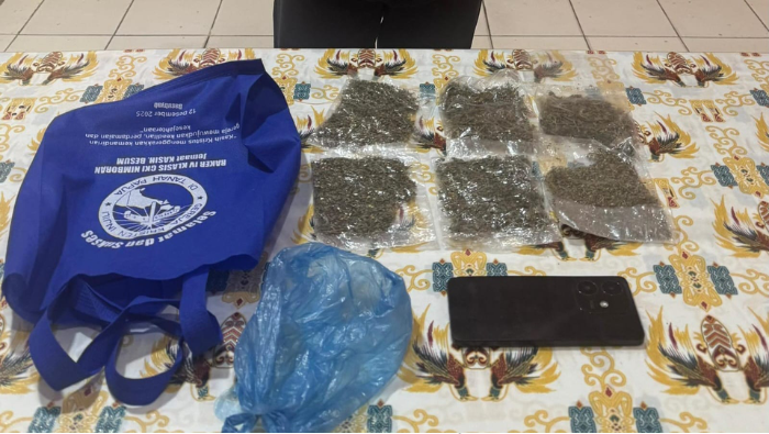 Bawa 30 Gram Ganja, Pria 24 Tahun Dibekuk Polisi