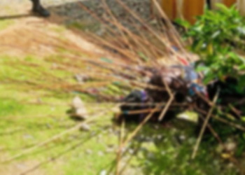 Bentrok Warga di Kwamki Narama Kembali Telan Korban, Total Meninggal Dunia 10 Orang