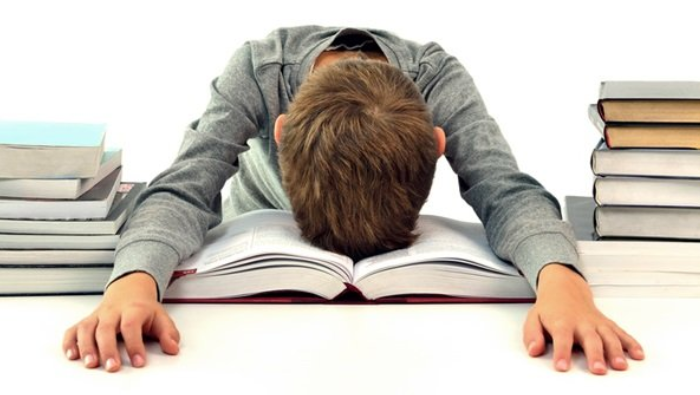 Tingkat Kegemaran Membaca di Papua Tertinggal Jauh Dibandingkan Rata-rata Nasional