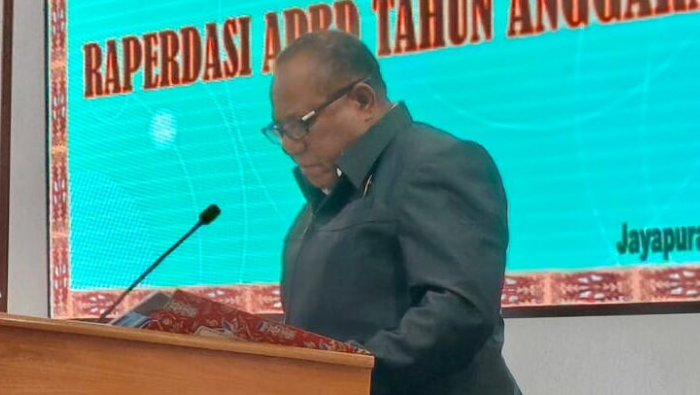 Tim Percepatan Papua Bukan Kebutuhan Mendesak, Timbulkan Tumpang Tindih Kewenangan dan Bebani APBD