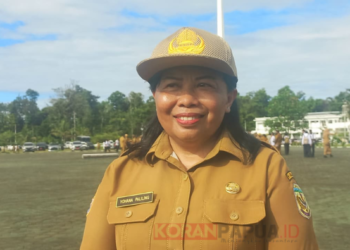Dana Otsus Mimika 2026 Rp196,1 Miliar, Fokus Pembangunan dari Kampung ke Kota