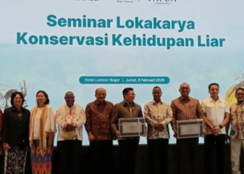 Dari Forum Seminar Konservasi, Perubahan Iklim Ancam Peneluran Kura-kura Moncong Babi di Papua