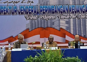Percepat Progres Pembangunan, Pejabat Dua Lembaga Kementerian Kunjungi Papua Selatan