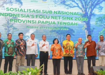 Menuju-140 Juta Ton CO₂e 2030, Restorasi Gambut Jadi Fokus Sosialisasi FOLU di Papua Tengah