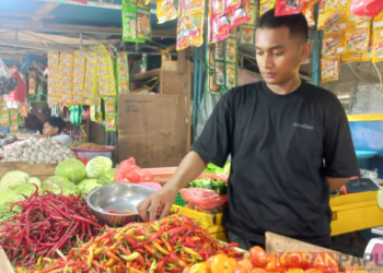 Hari Ketiga Ramadan, Harga Cabai di Pasar Sentral Mimika Tembus Rp90 Ribu per Kg