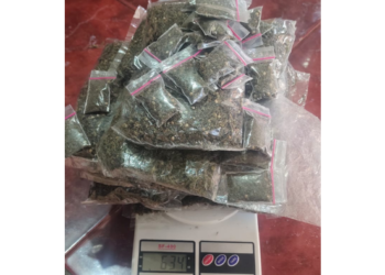 Korpasgat Gagalkan Upaya Penyelundupan Ganja 1,7 Kilogram di Bandara Sentani Jayapura