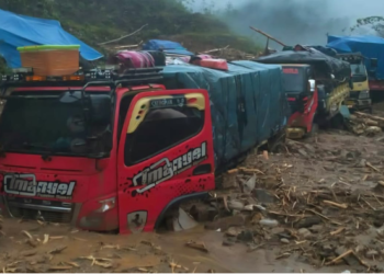 Enam Titik Longsor Lumpuhkan Total Jalur Trans-Papua Jayapura–Wamena, Masyarakat Diminta Tunda Perjalanan