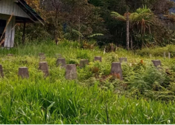 DPRK Mimika Soroti Proyek Perpustakaan SMP Jila Rp950 Juta Tidak Selesai Dibangun