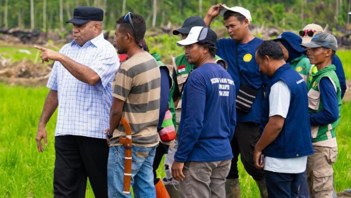 Keerom Jadi Lumbung Pangan, Pemprov Papua akan Cetak Sawah 13.200 Hektare