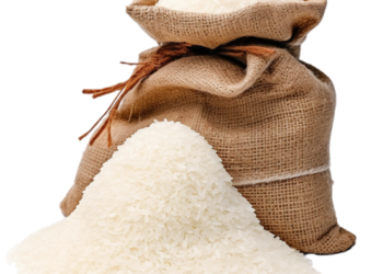 Wamendagri Ribka: Terlambat Rampungkan AMDAL Pembangunan KIPP Papua Pegunungan, Dana Bisa Dialihkan ke Program Lain