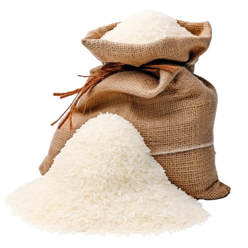 Wamendagri Ribka: Terlambat Rampungkan AMDAL Pembangunan KIPP Papua Pegunungan, Dana Bisa Dialihkan ke Program Lain