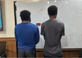 Diduga Suplai Makanan dan Amunisi ke KKB, Lima Orang Diamankan Satgas ODC