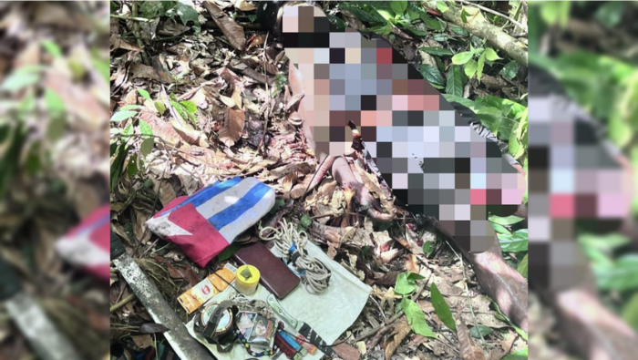 Terlibat Sejumlah Aksi Kekerasan, KKB DPO Tewas Ditembak Aparat di Nabire