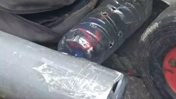 Pemudik Selundupkan Puluhan Burung Langka Asal Papua ke Pulau Jawa