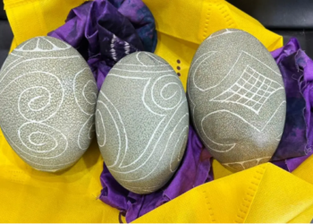 Badan Karantina Gagalkan Penyelundupan Telur Kasuari dari Penumpang Pesawat