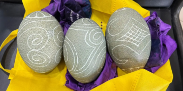 Badan Karantina Gagalkan Penyelundupan Telur Kasuari dari Penumpang Pesawat