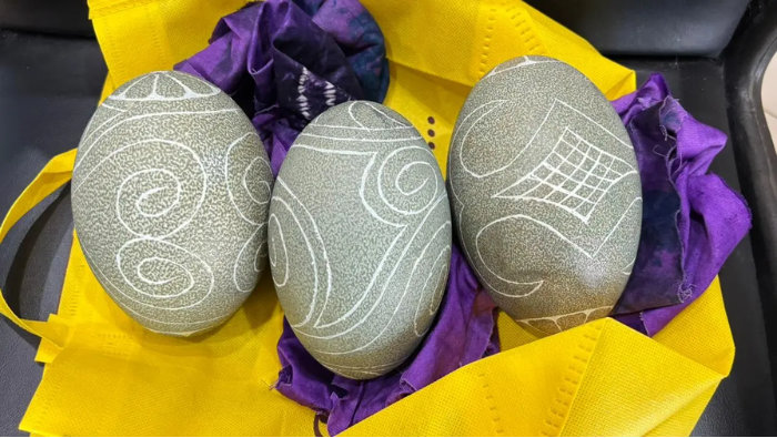 Badan Karantina Gagalkan Penyelundupan Telur Kasuari dari Penumpang Pesawat