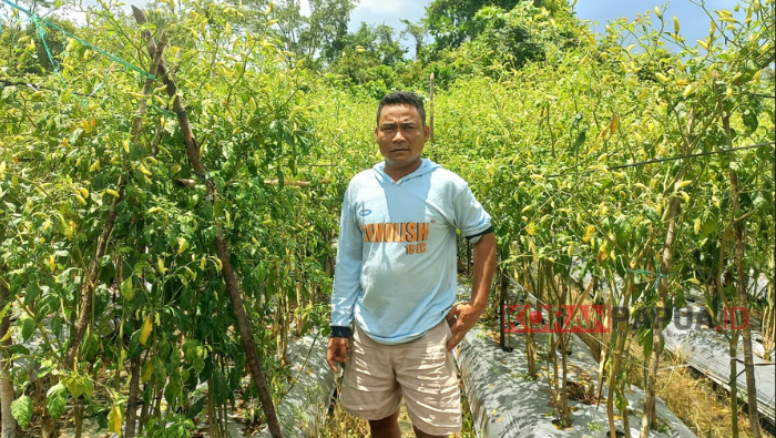 Belajar Otodidak dari YouTube, Petani Muda Mimika Kini Menikmati Hasil