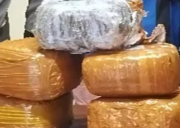 Polisi Amankan Enam Kilogram Ganja di KM Ciremai, Dua Penumpang Ditangkap