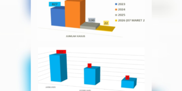 Kasus DBD di Mimika Turun Drastis, Januari Hingga Awal Maret 2026, Dinkes Catat 22 Kasus