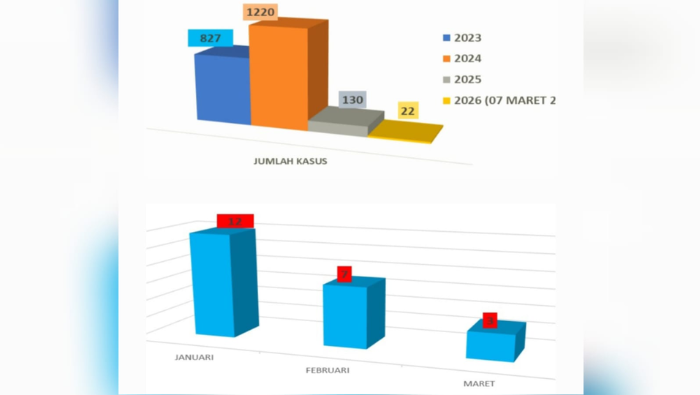 Kasus DBD di Mimika Turun Drastis, Januari Hingga Awal Maret 2026, Dinkes Catat 22 Kasus