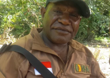 Satpol PP Mimika Operasi Penertiban Pedagang Kaki Lima di Sejumlah Ruas Jalan dalam Kota