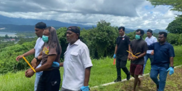 Dua Honorer Nekat Curi Patung Kasuari di Kantor Gubernur, Jual Kiloan, Ditangkap Polisi