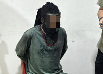 Sempat Melawan, DPO KKB Penembak Warga Sipil Diringkus di Timika