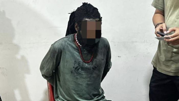 Sempat Melawan, DPO KKB Penembak Warga Sipil Diringkus di Timika