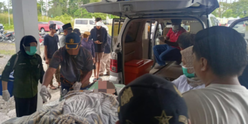 KKB Tembak Warga Sipil di Yahukimo, Terluka Bagian Leher, Korban Dirujuk ke Jayapura