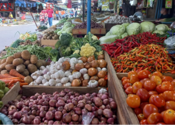 Harga Pangan di Timika Melonjak: Pasar Sentra Sepi Pembeli, Tomat Tembus Rp60 Ribu per Kilogram